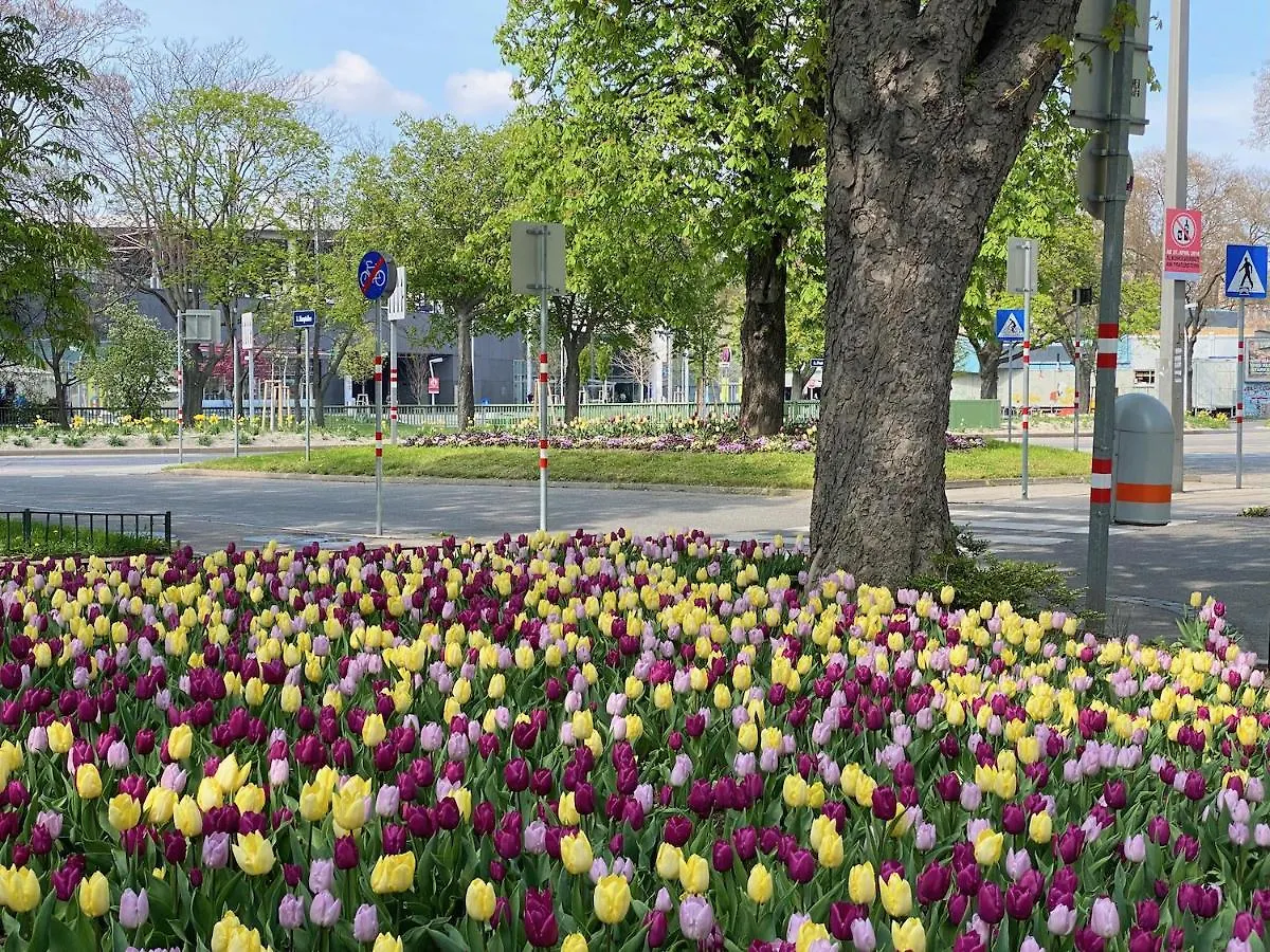 Magic Vienna Right Next To The Prater! Apartment Austria